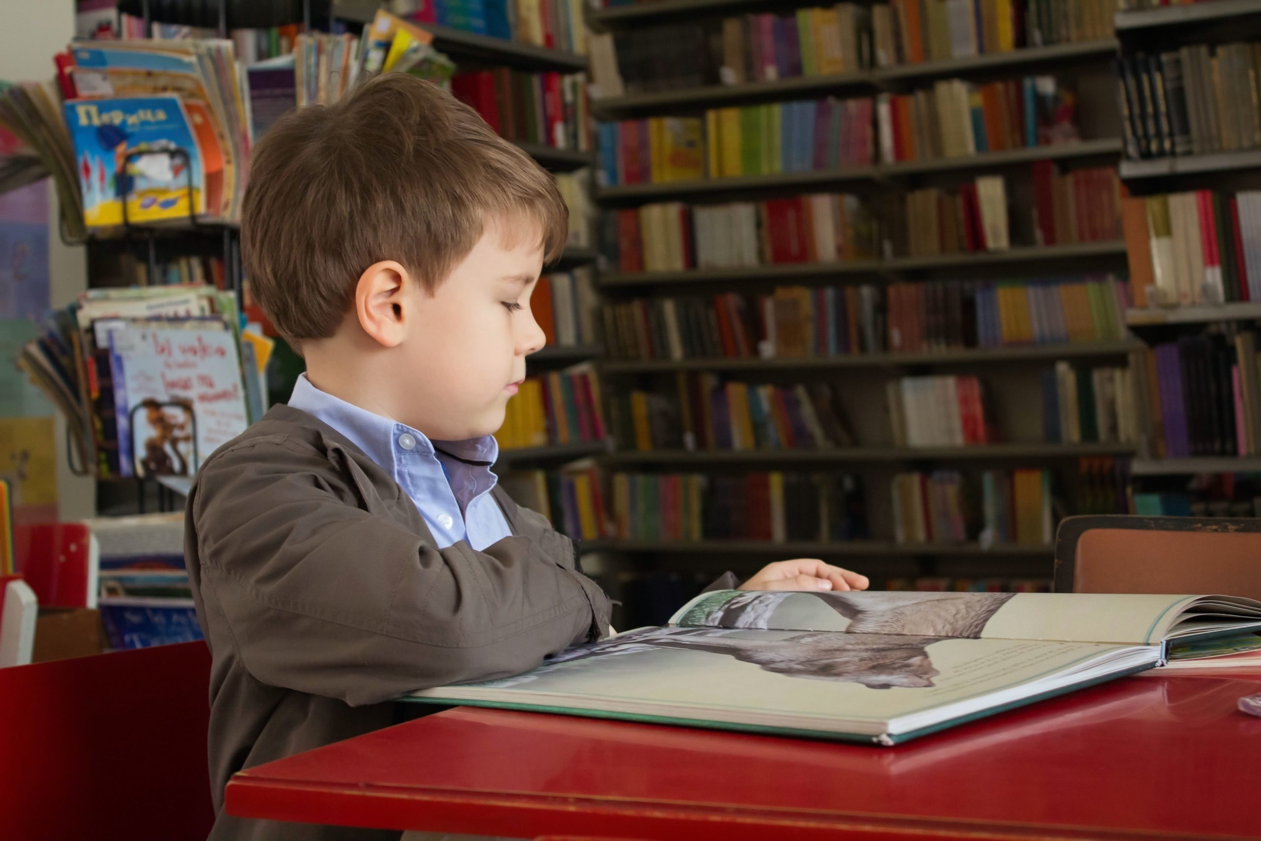 Child reading in library